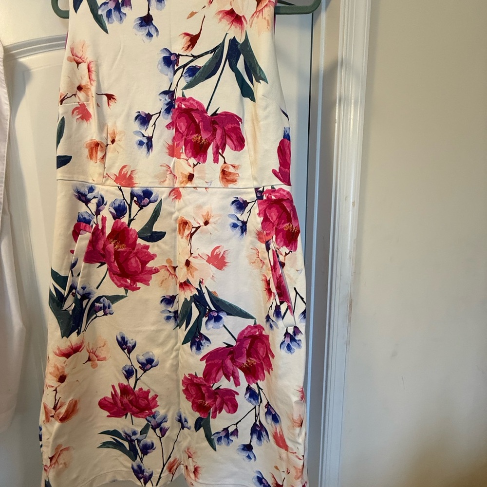 Floral Sleeveless Dress - Pink and Blue